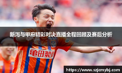 新泻与甲府精彩对决直播全程回顾及赛后分析