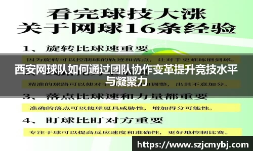 西安网球队如何通过团队协作变革提升竞技水平与凝聚力